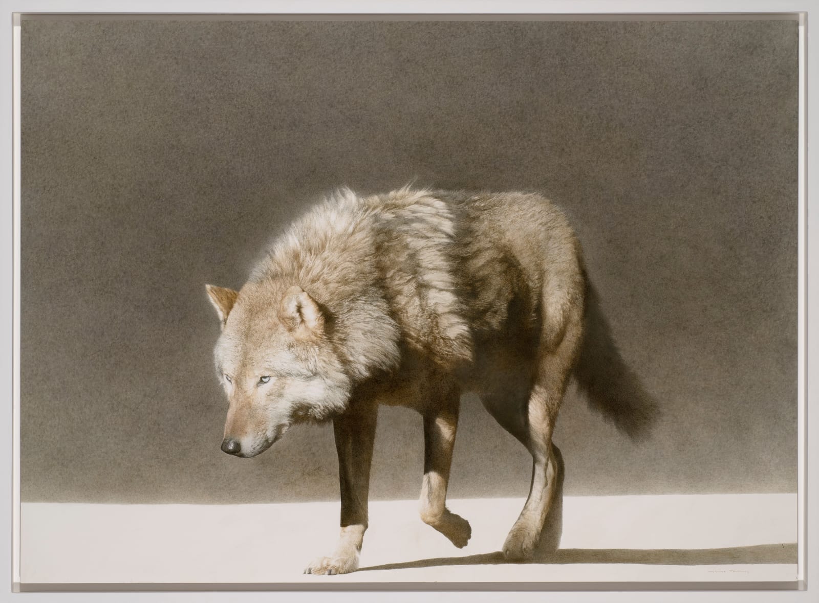 Marzio Tamer, Blue Eyes, 2023