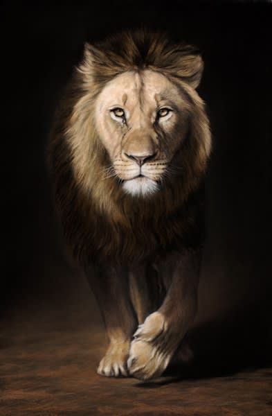 Gary Stinton, Eye to Eye II - African Lion