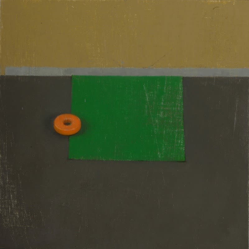 Maryam Amiryani, Life Saver