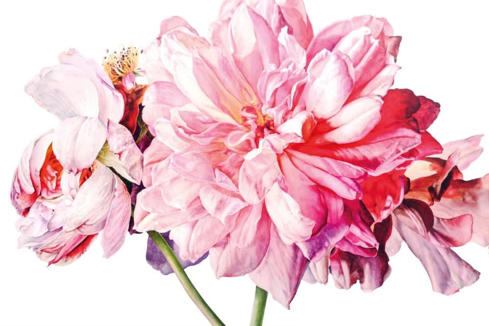 Rosie Sanders, Fire and Ice, 2025