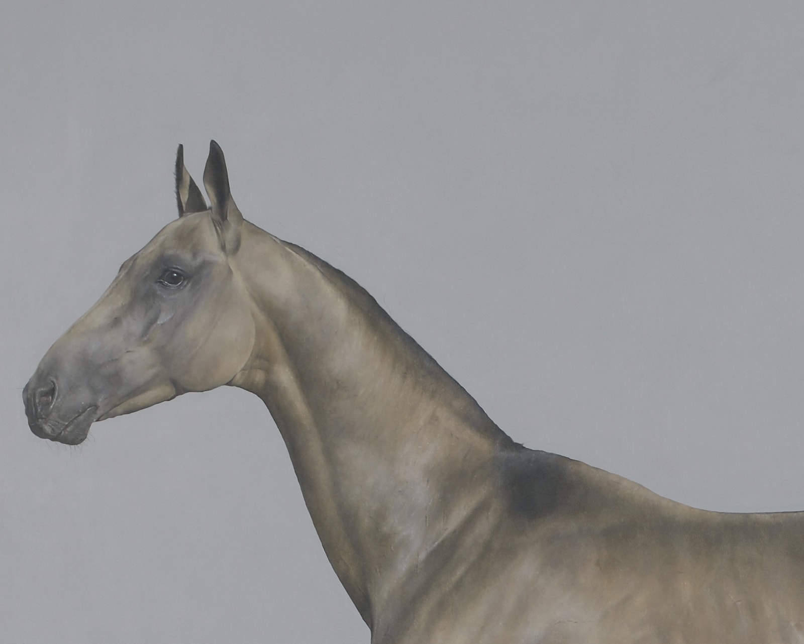 Joseph Black, The Morning Tree, 2021