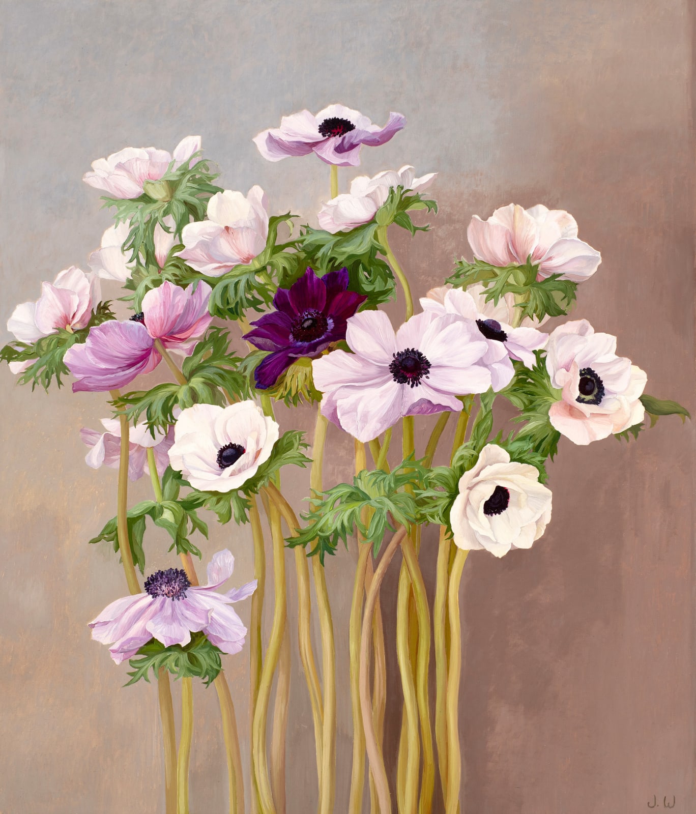 Jane Wormell, Anenomes 1