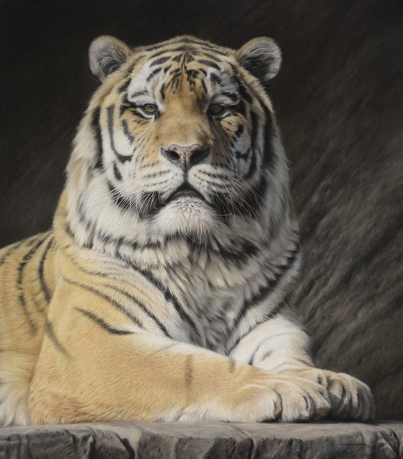 Gary Stinton, Face to Face - Amur Tiger