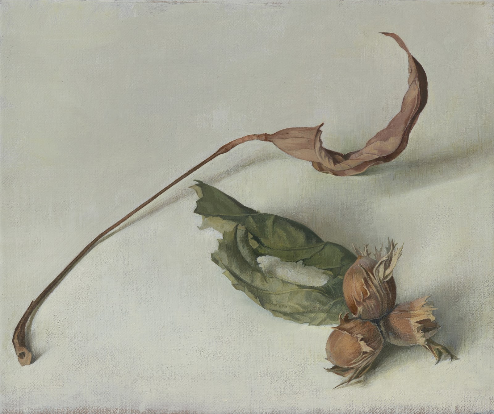 Susan Angharad Williams, Curling Leaves and Hazels