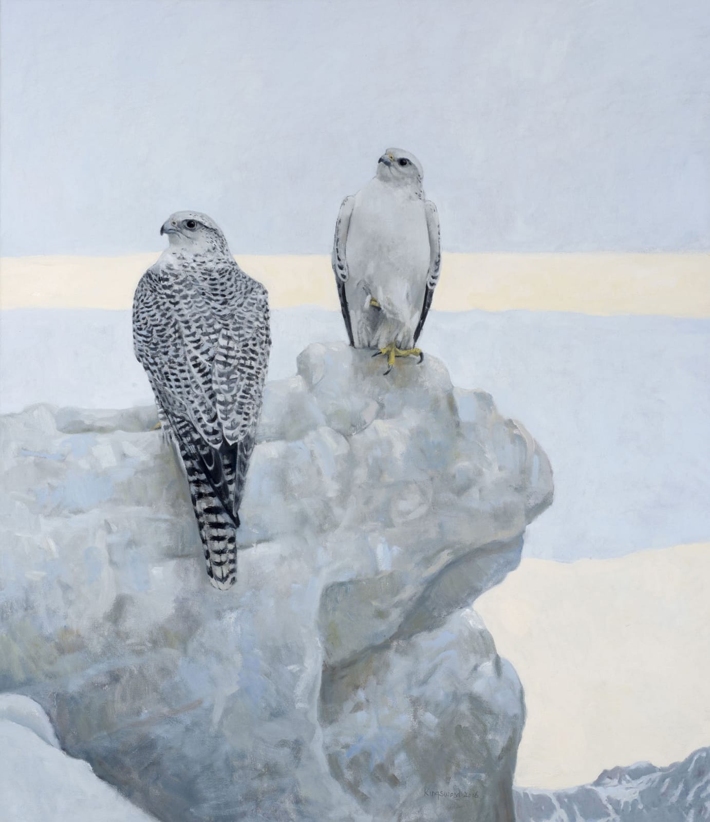Ron Kingswood, Northern Vigil Gyrfalcons