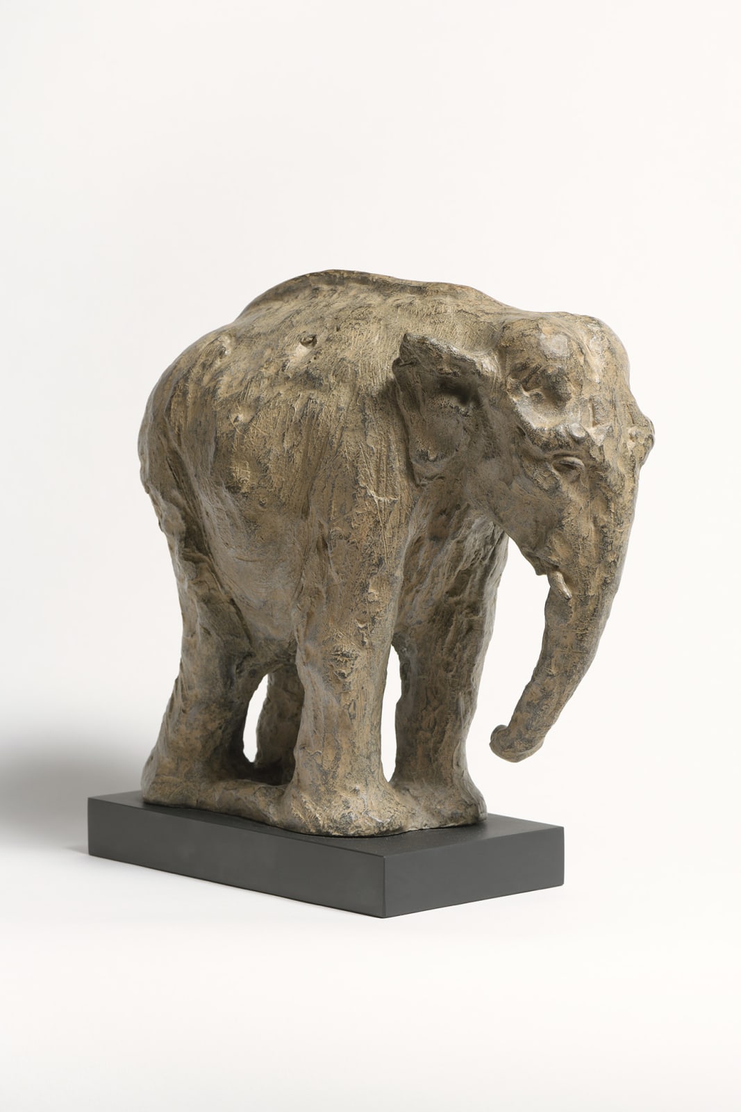 Tanya Brett, Indian Elephant