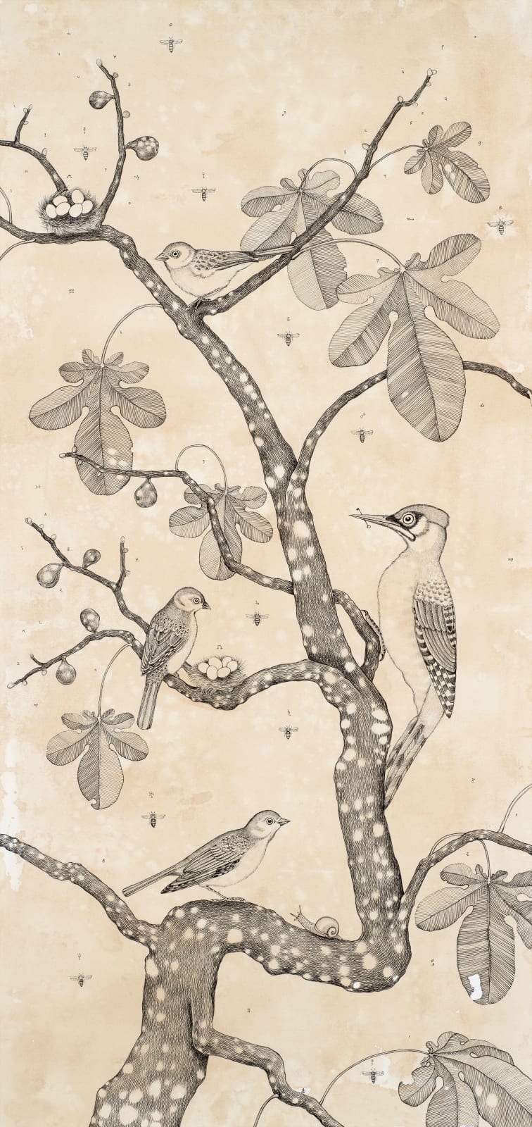 Andrea Collesano, PRIMITIAE