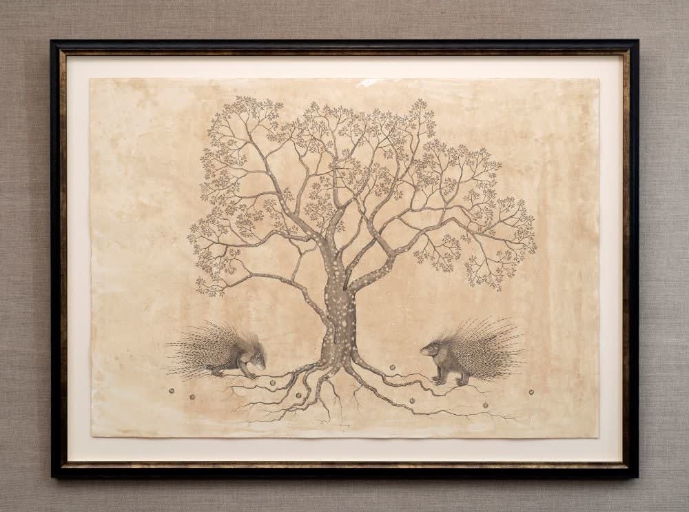Andrea Collesano, HYSTRIX CRISTATA (Tree with Porcupine) , 2025
