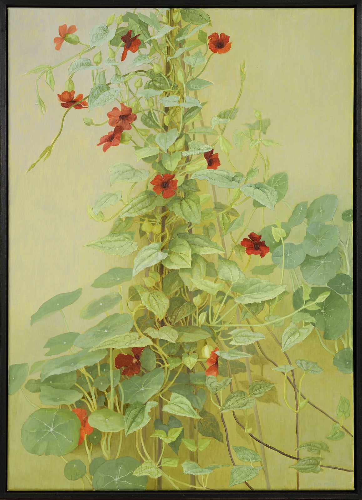 Jane Wormell, Black eyed Susan (Thunbergia) and Nasturtium Leaves, 2020
