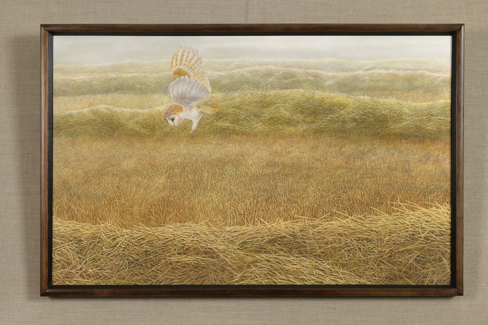 Tim Hayward, Barn Owl