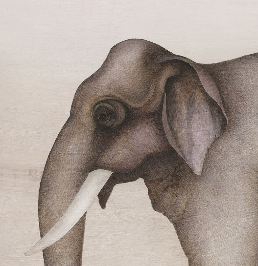 Harriet Bane, Asian Elephant