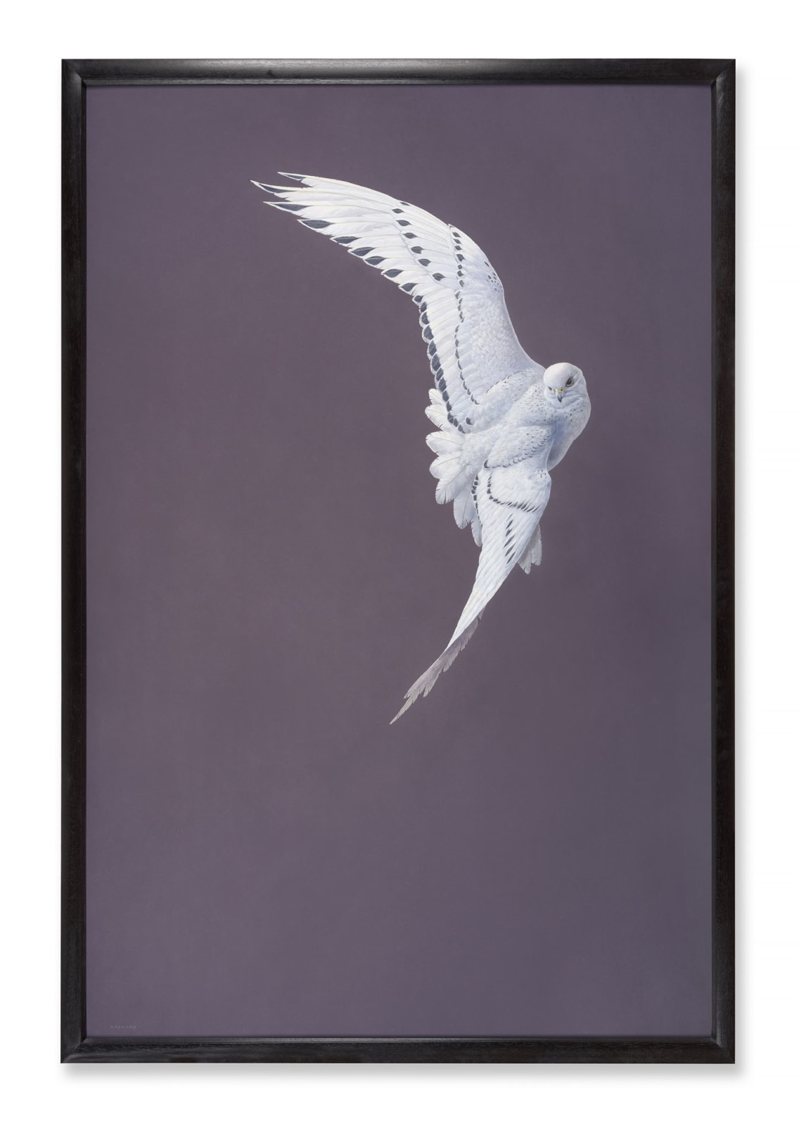 Tim Hayward, Arc - Damson