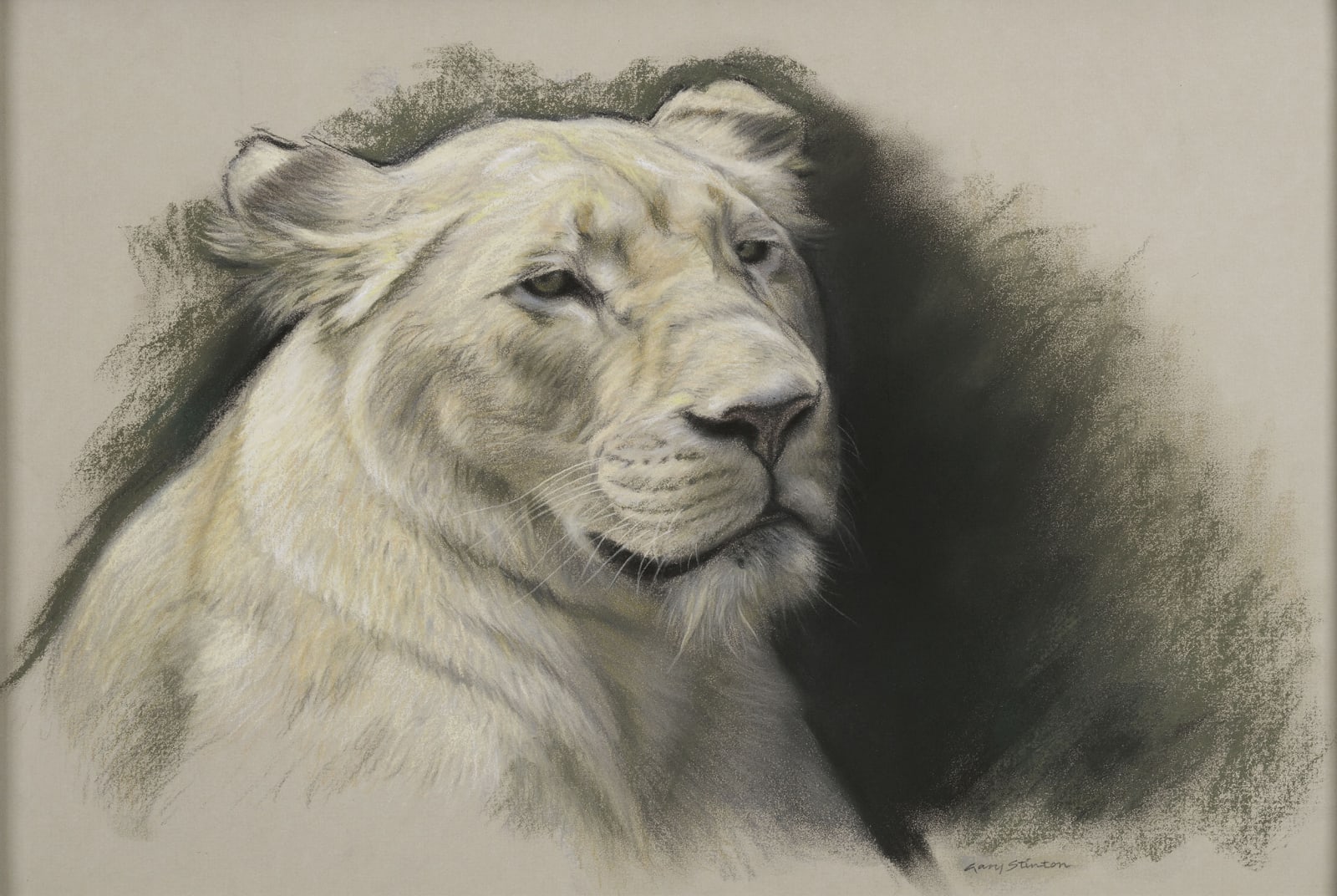 Gary Stinton, Study of White Lioness
