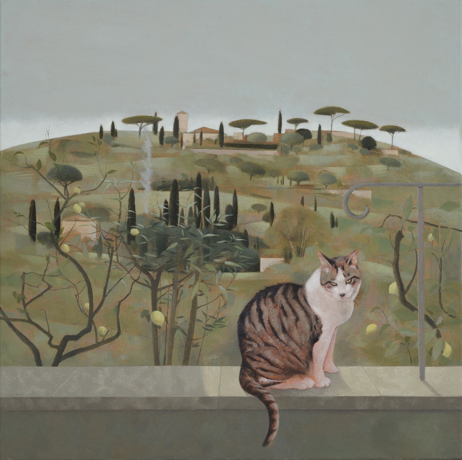Tom Mabon, Hillside and Cat at Fiesole, 2020