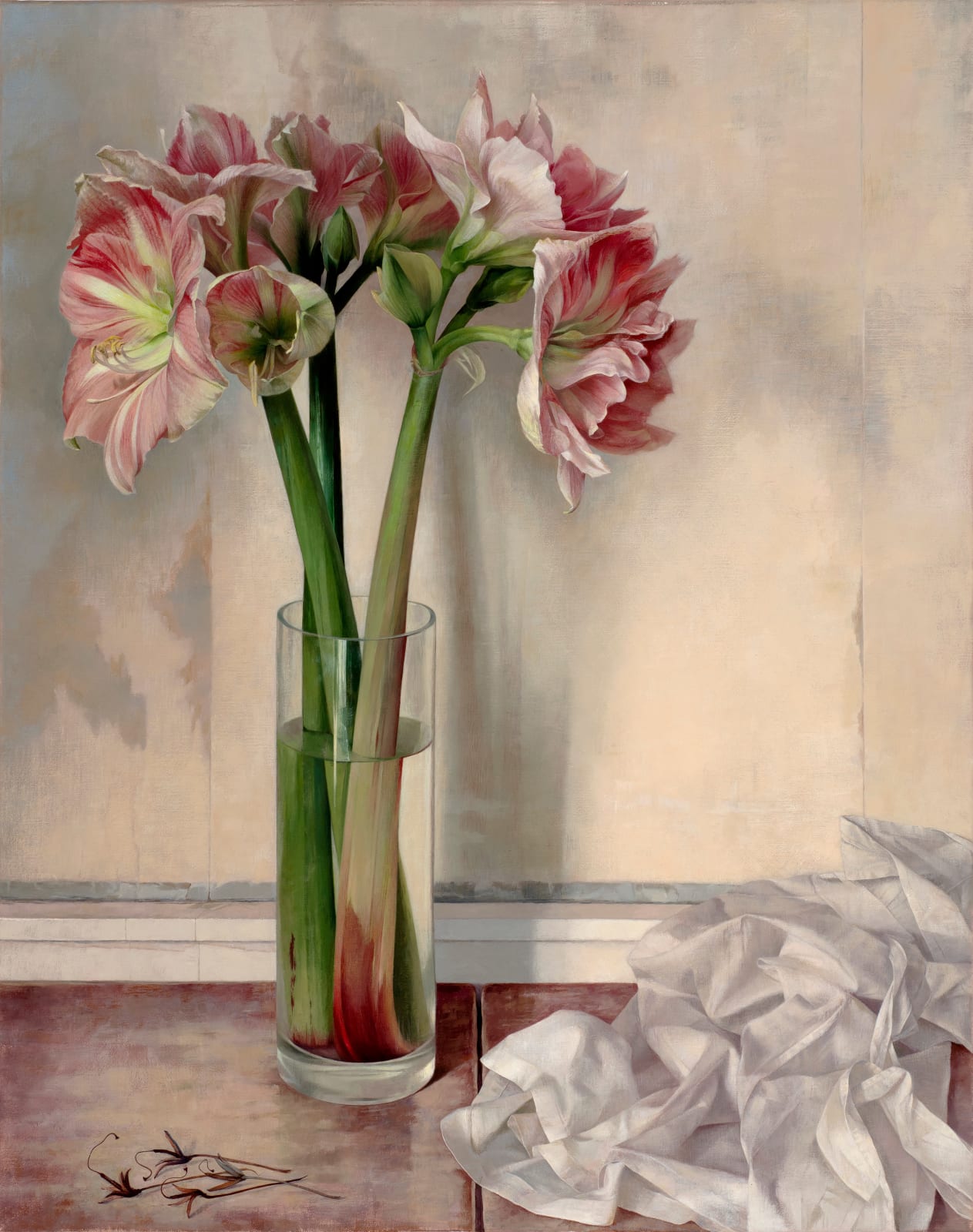 Susan Angharad Williams, Amaryllis Stems, 2023