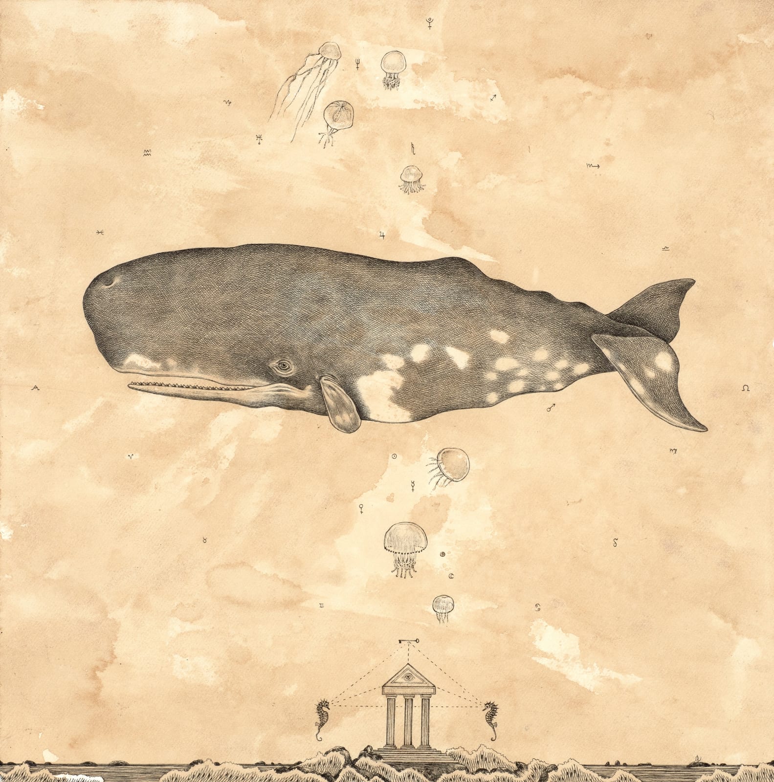 Andrea Collesano, CAELESTIS MUSICA, 2022