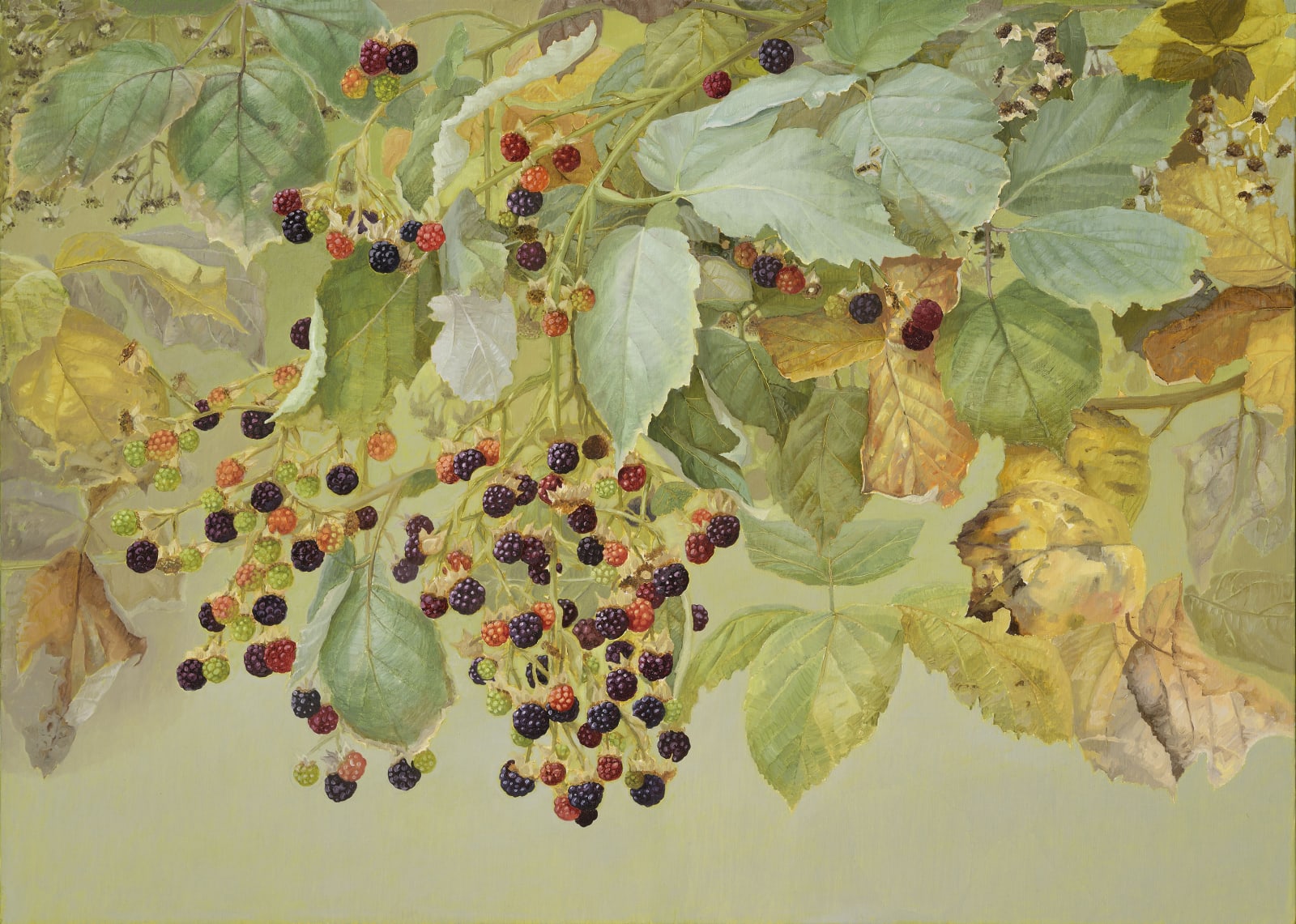 Jane Wormell, Blackberries, Early Autumn, 2020