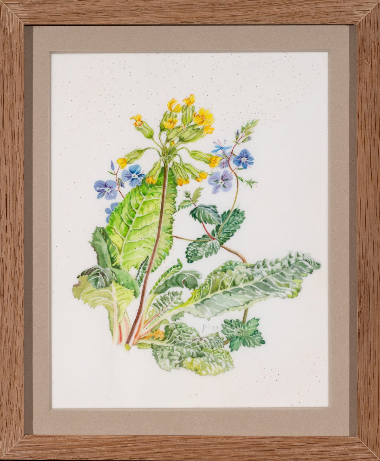 Janet Marsh, Cowslip Primula veris and speedwell veronica chamaedrys, 2022