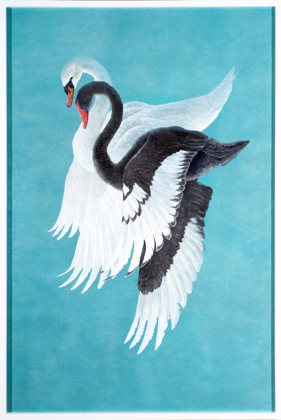 Tim Hayward, Duet , 2025