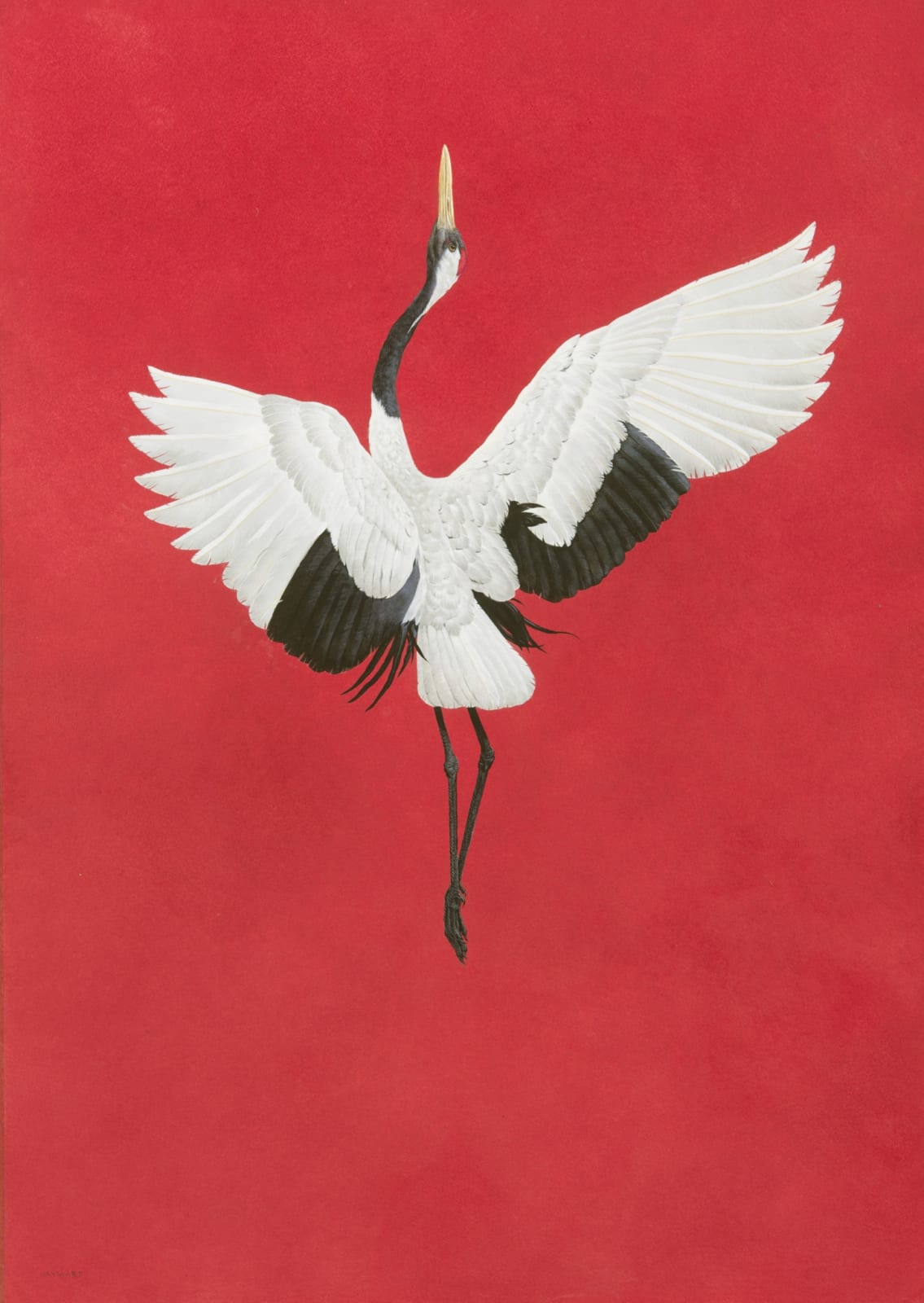 Tim Hayward, The Dance - Red