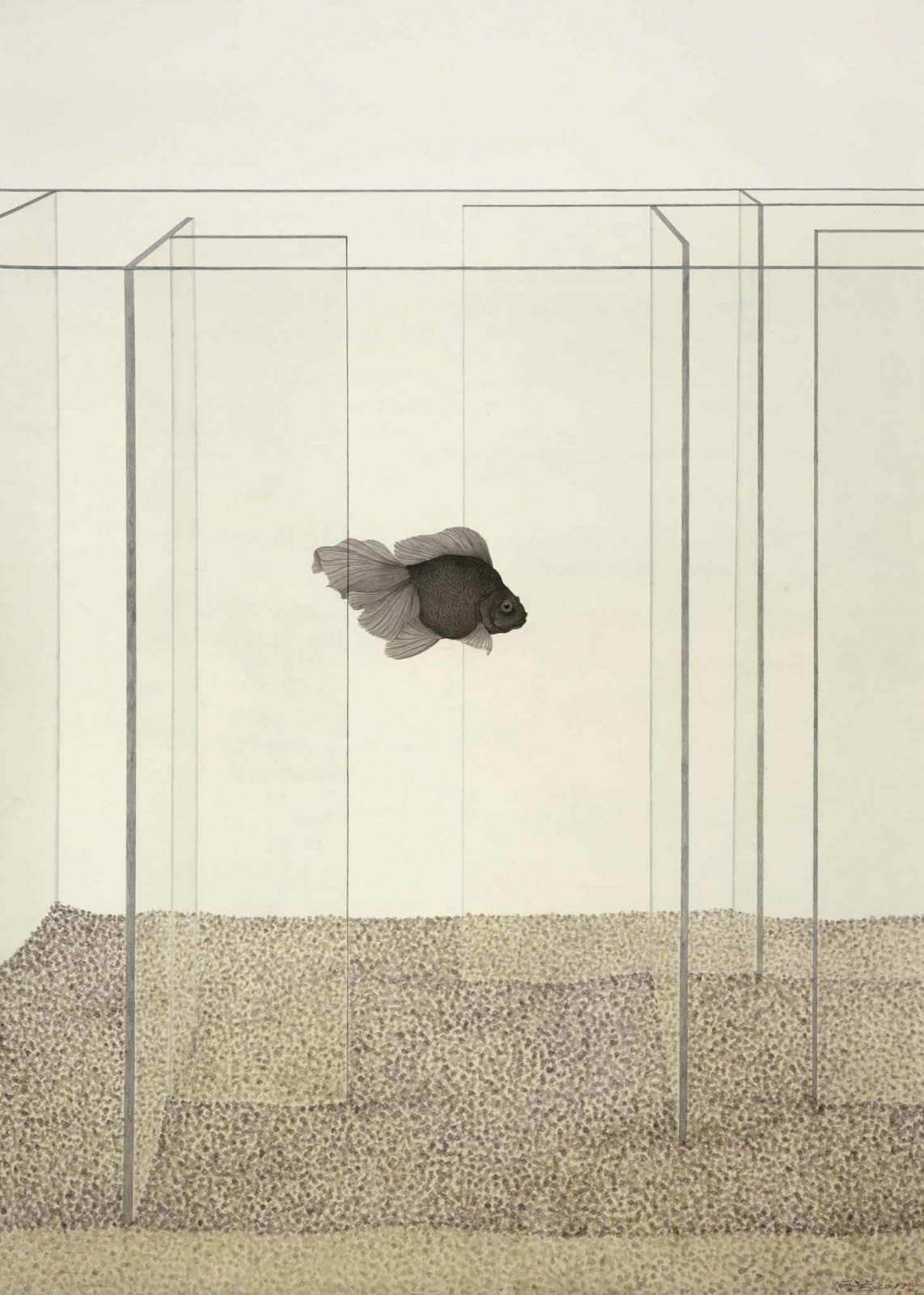 He Xi, Maze
