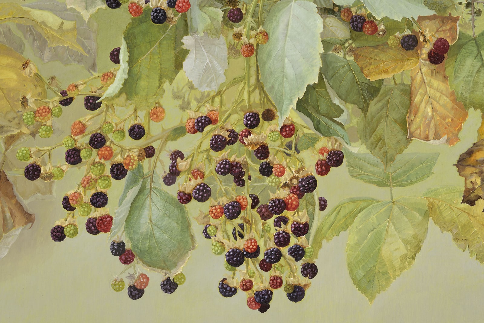 Jane Wormell, Blackberries, Early Autumn, 2020