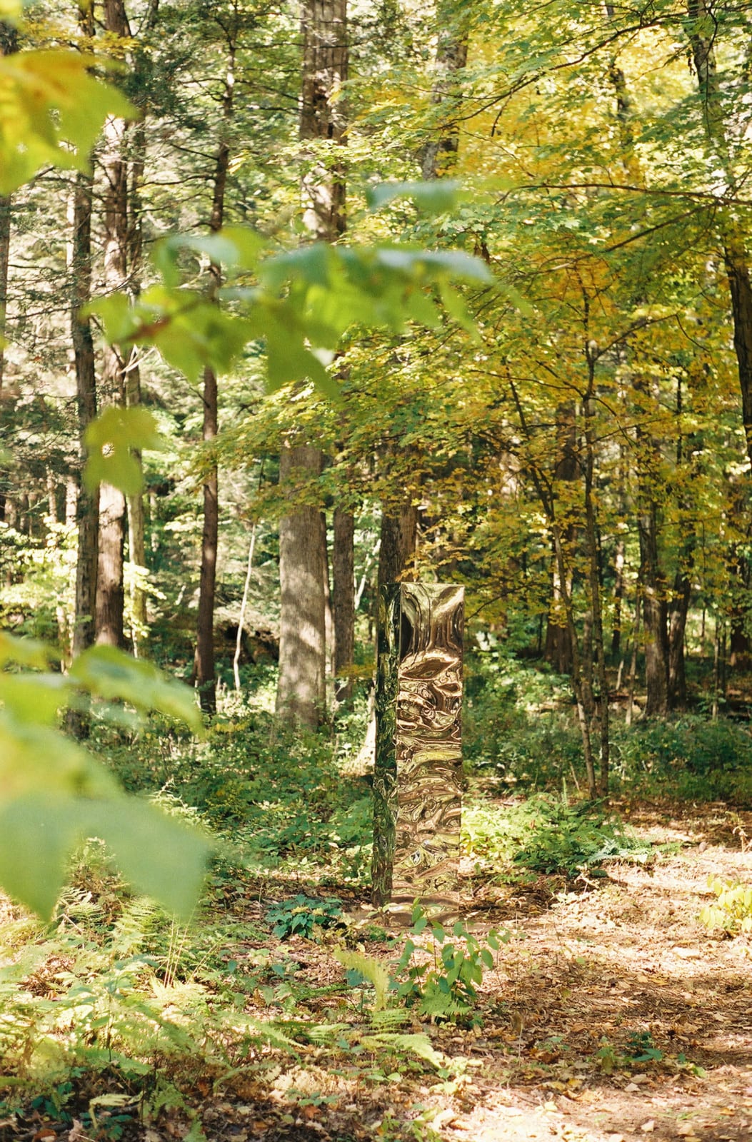 Jonathan Prince, Turbulence Column