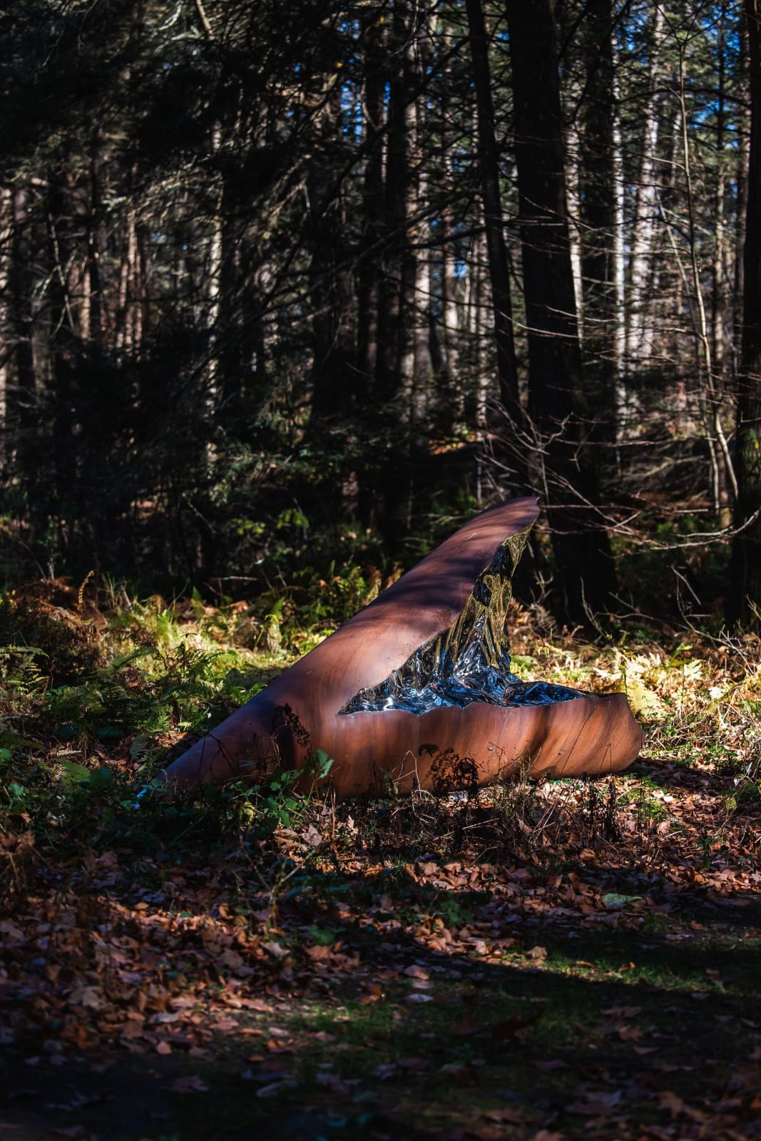 Jonathan Prince, Southern Remnant