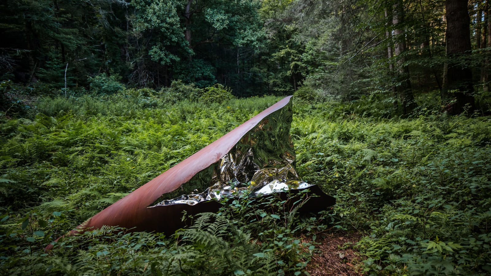 Jonathan Prince, Southern Remnant