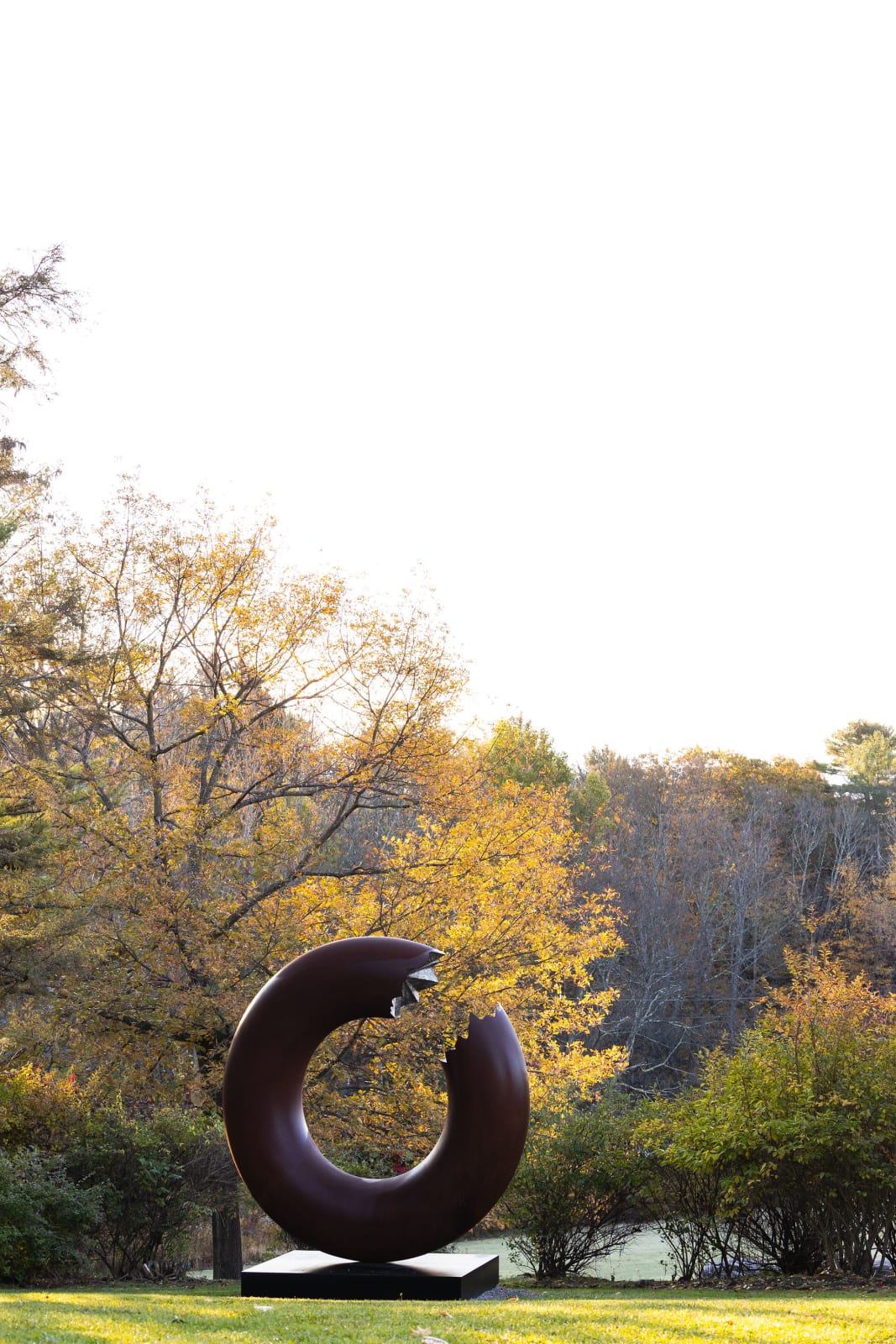 Jonathan Prince, Torus 340