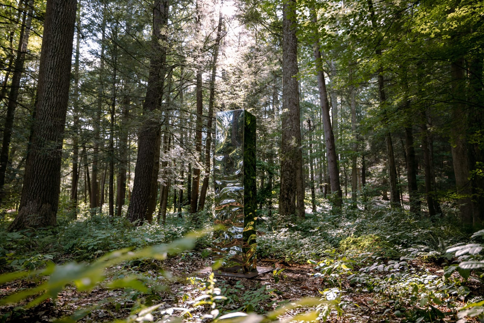 Jonathan Prince, Turbulence Column