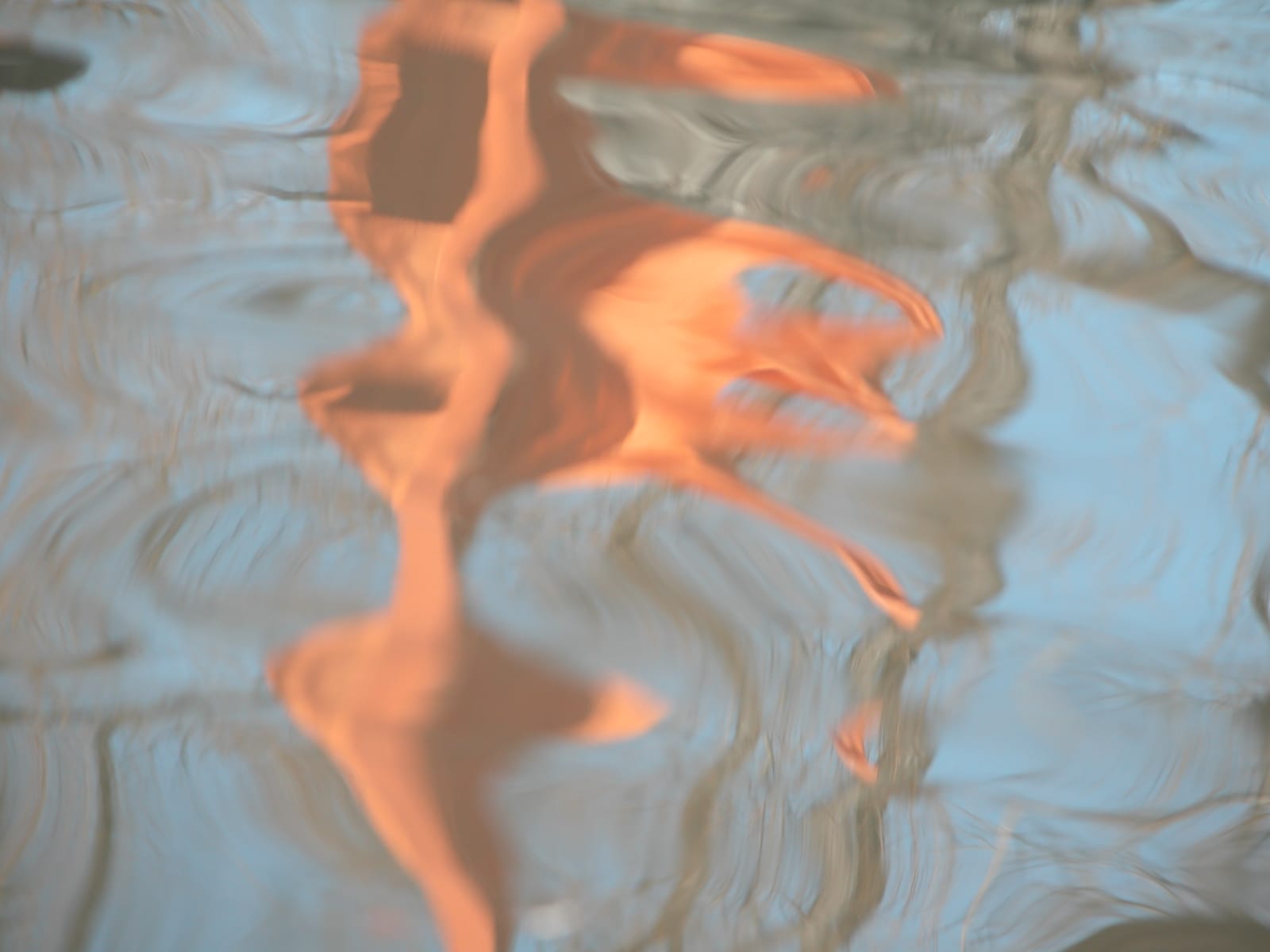 Joseph La Piana, Untitled (GATES CP/1024), 2005