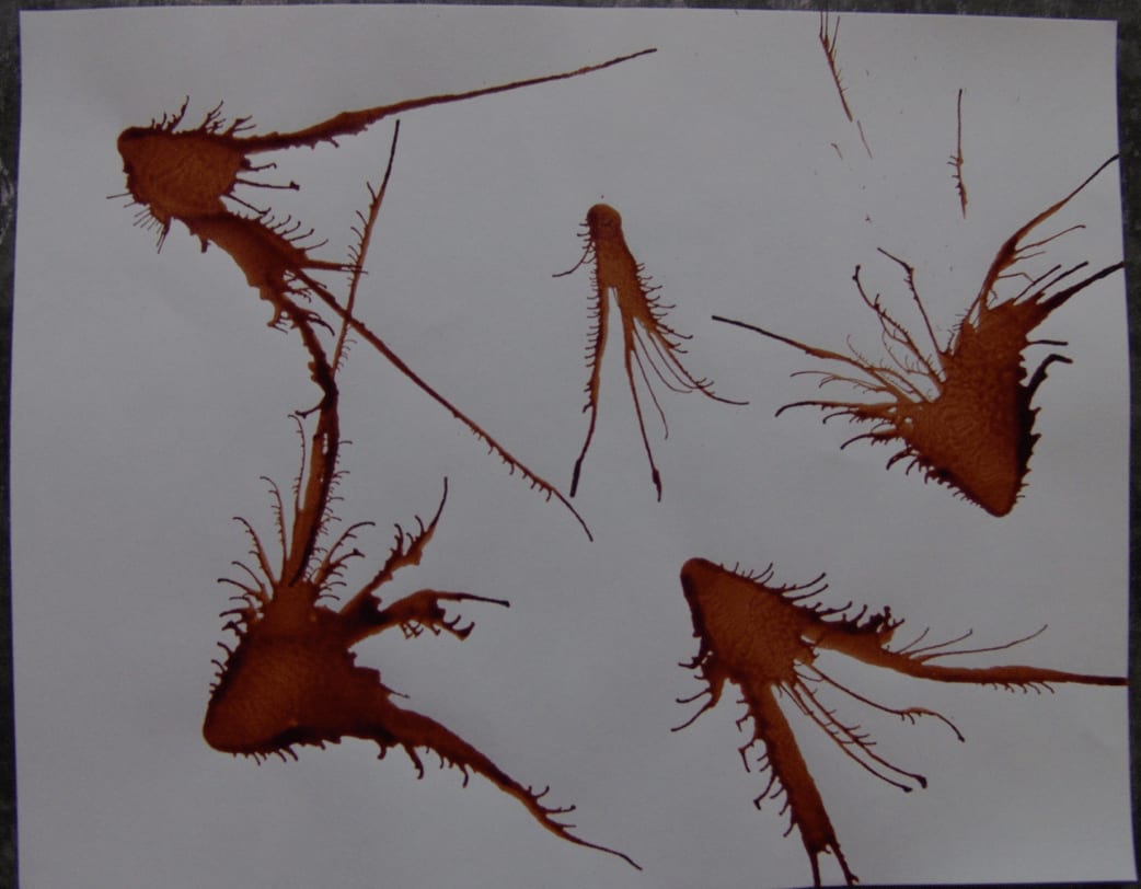 Joseph La Piana, Kinetic Movement C, 2008