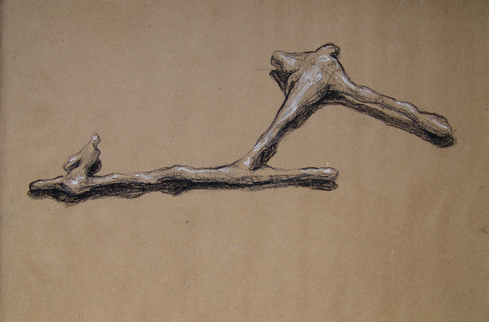 Joseph La Piana, Photonastic Drawing VI, 2013