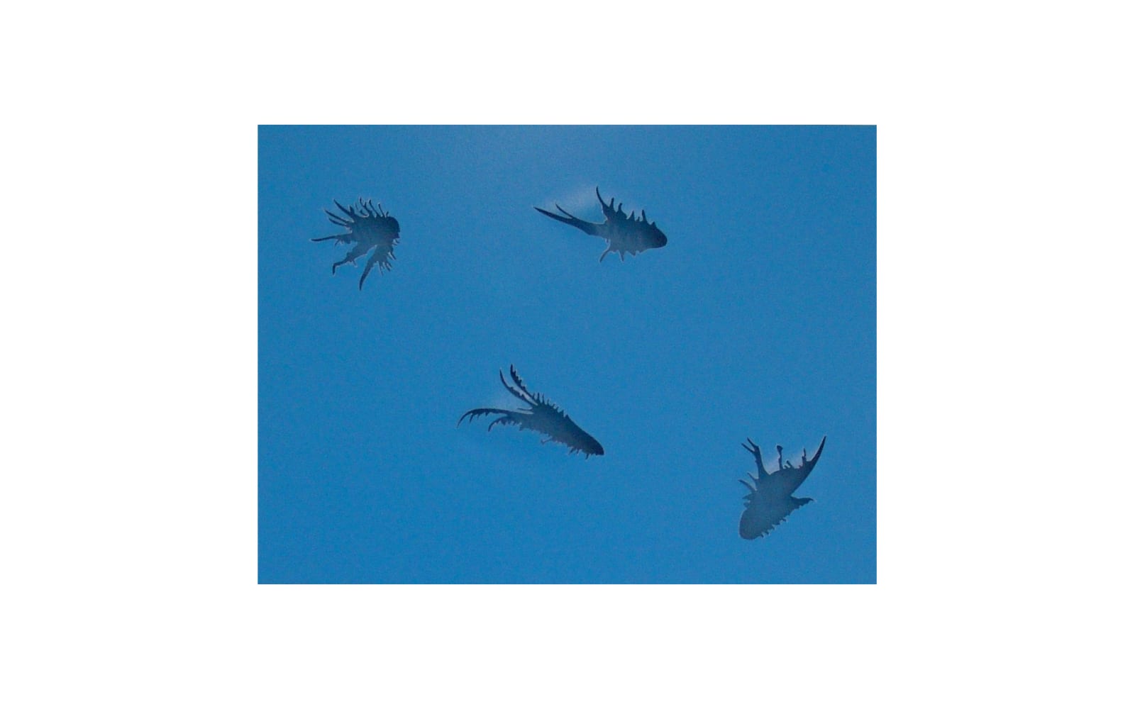 Joseph La Piana, Blue Spatial Construction, 2009