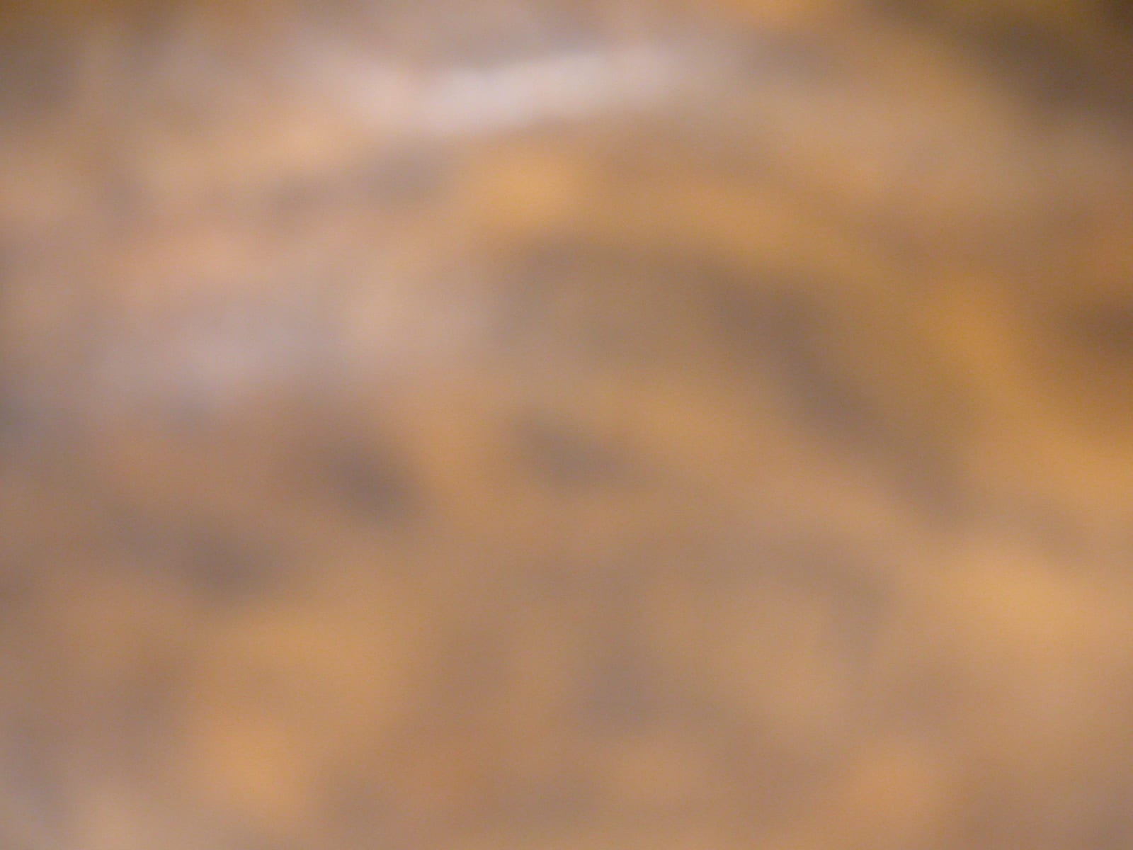 Joseph La Piana, MIES V (MIES/1038), 2004