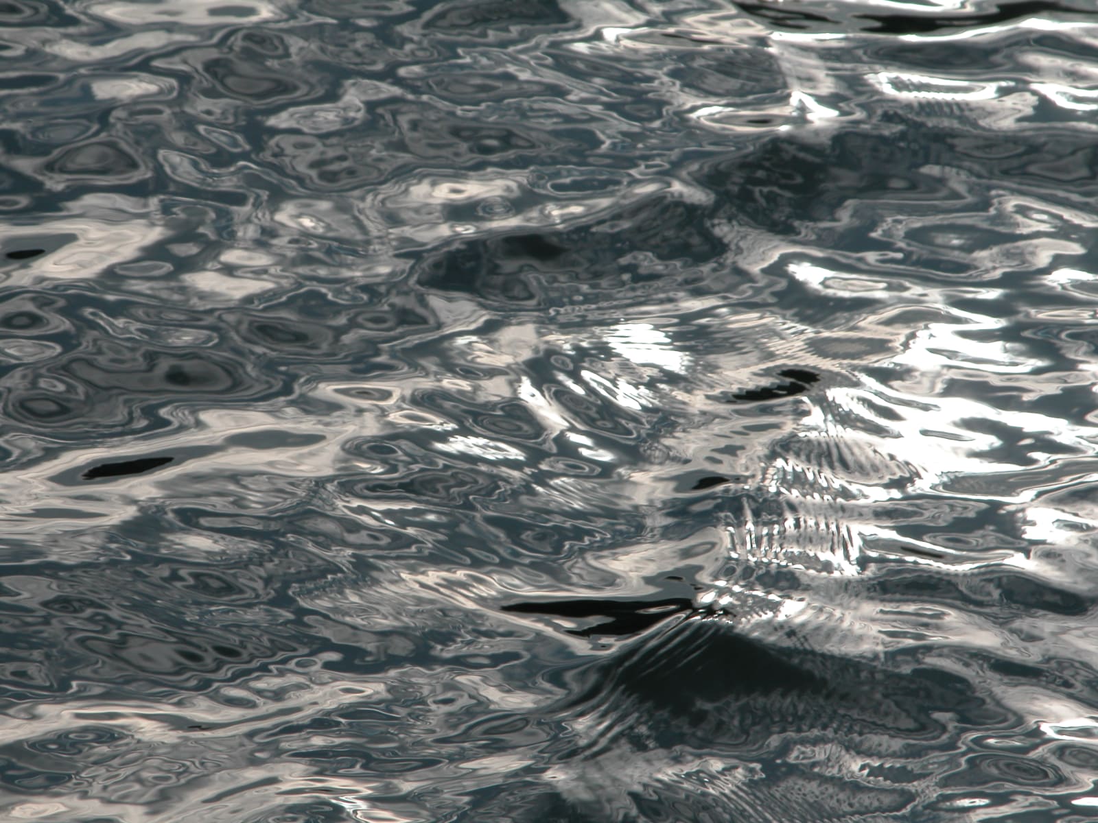 Joseph La Piana, Untitled (SIENE/7), 2006