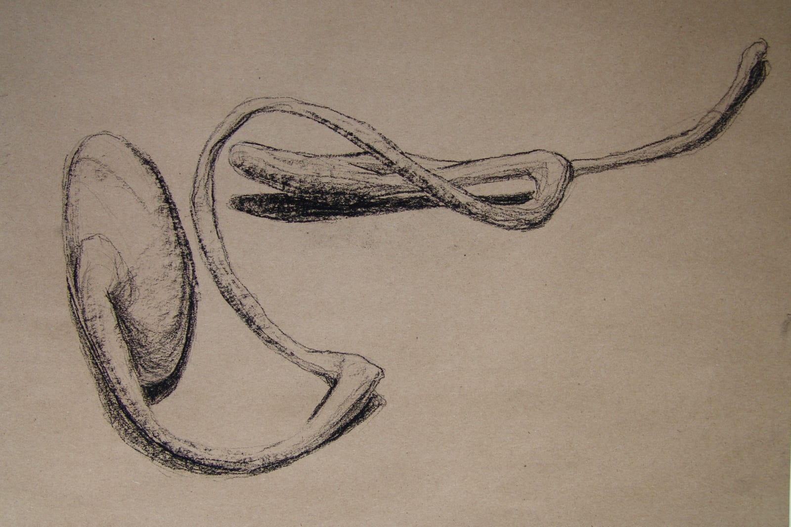 Joseph La Piana, Photonastic Drawing XXXII, 2013