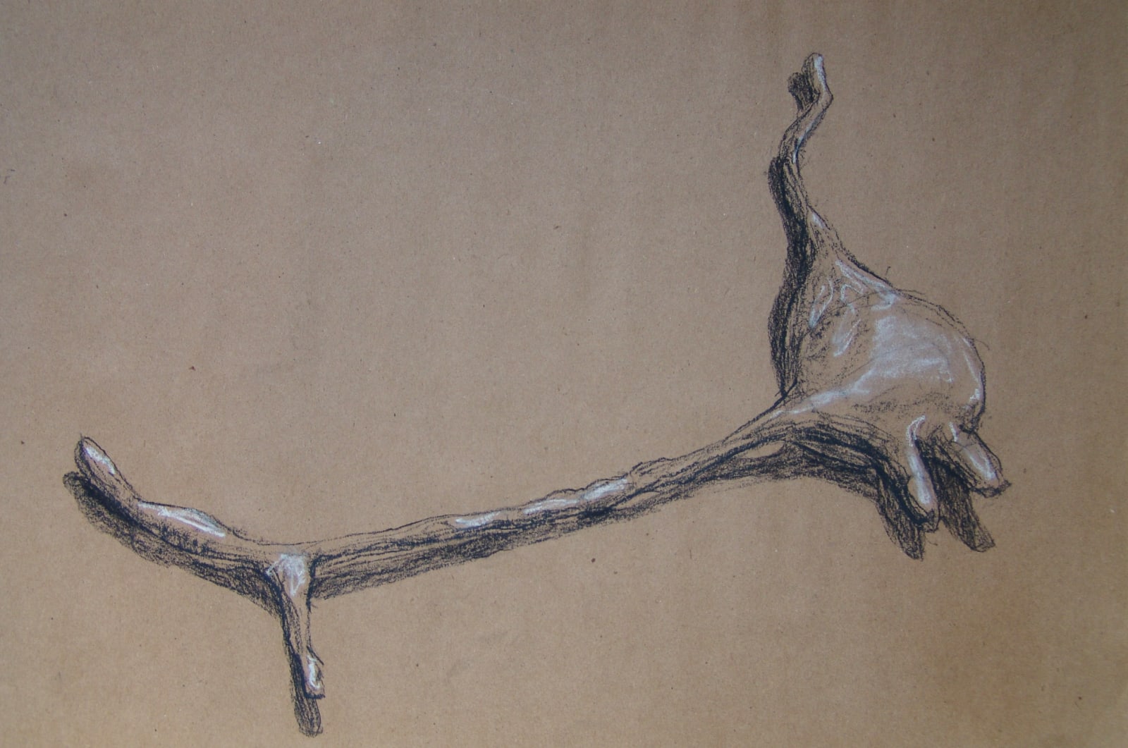 Joseph La Piana, Photonastic Drawing VII, 2013