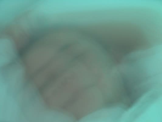 Joseph La Piana, Sonia Rest II, 2008