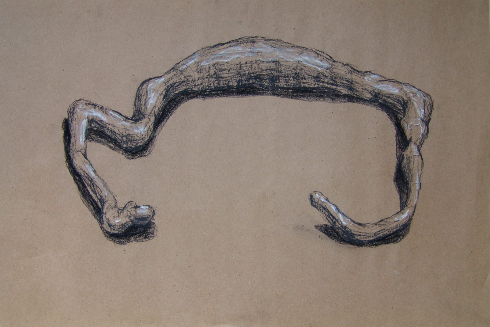 Joseph La Piana, Photonastic Drawing XIV, 2013