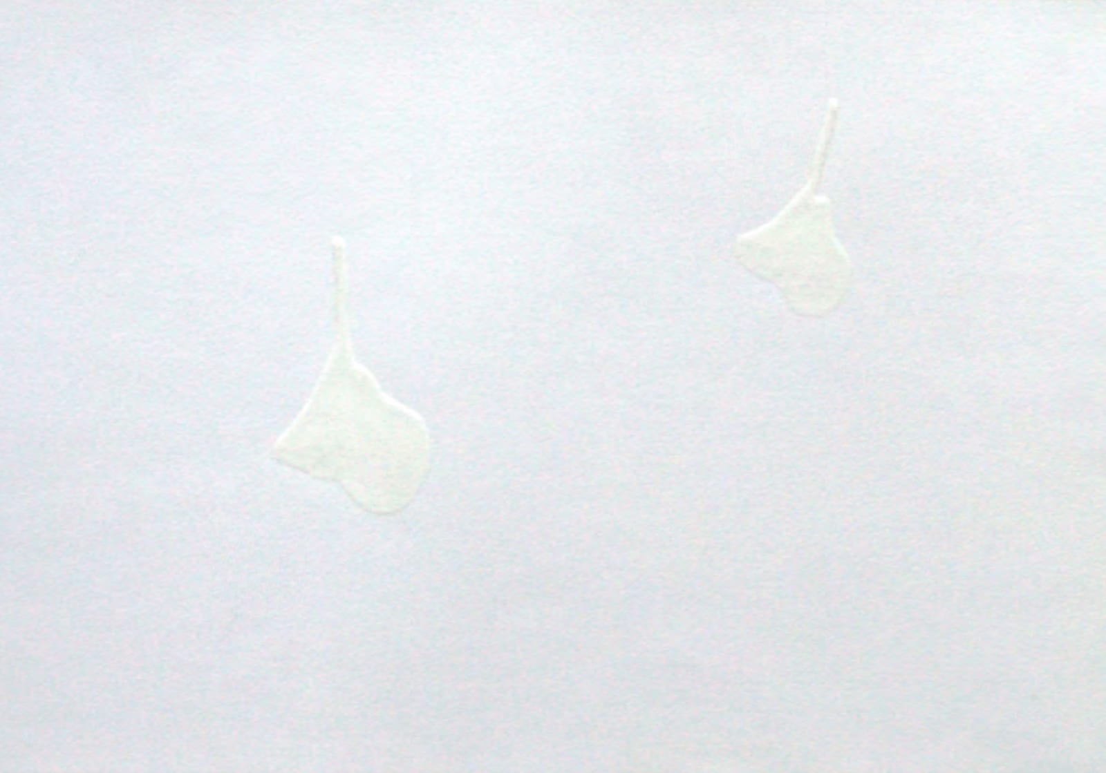 Joseph La Piana, White Tears, 2004