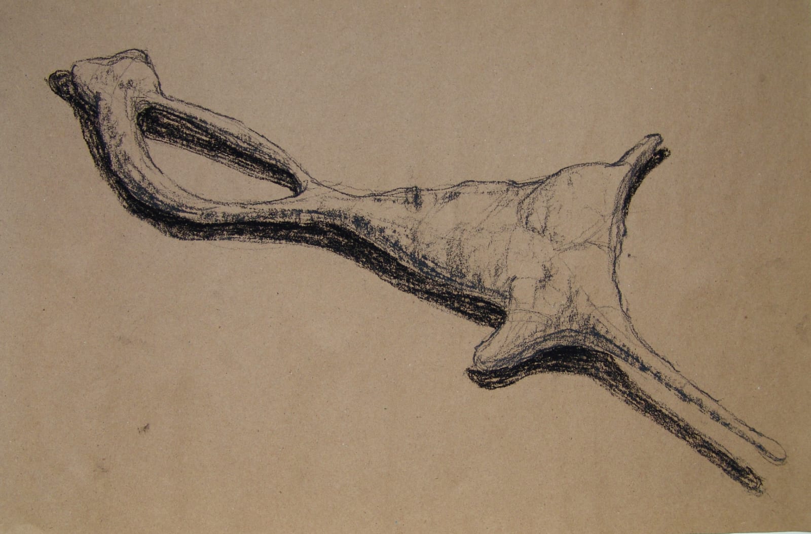 Joseph La Piana, Photonastic Drawing XII, 2013