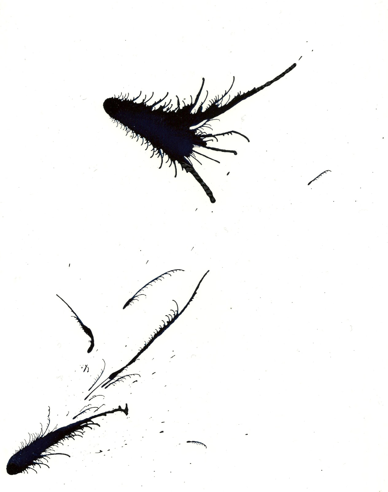 Joseph La Piana, Blow Study 1E, 2008