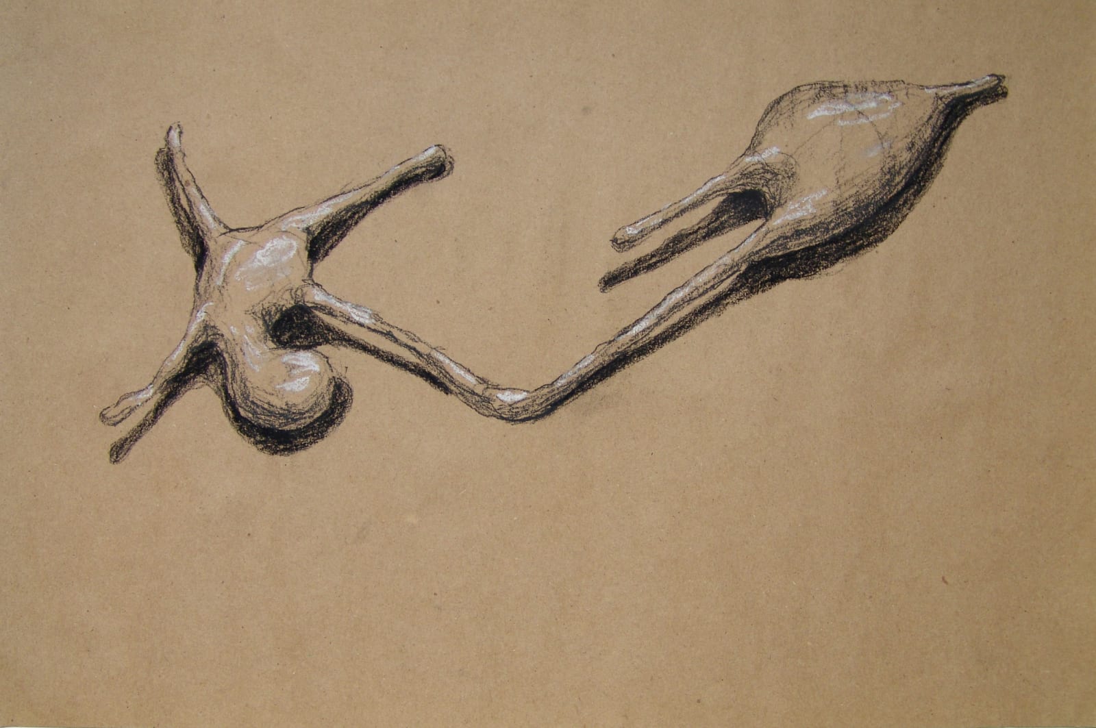 Joseph La Piana, Photonastic Drawing X, 2013