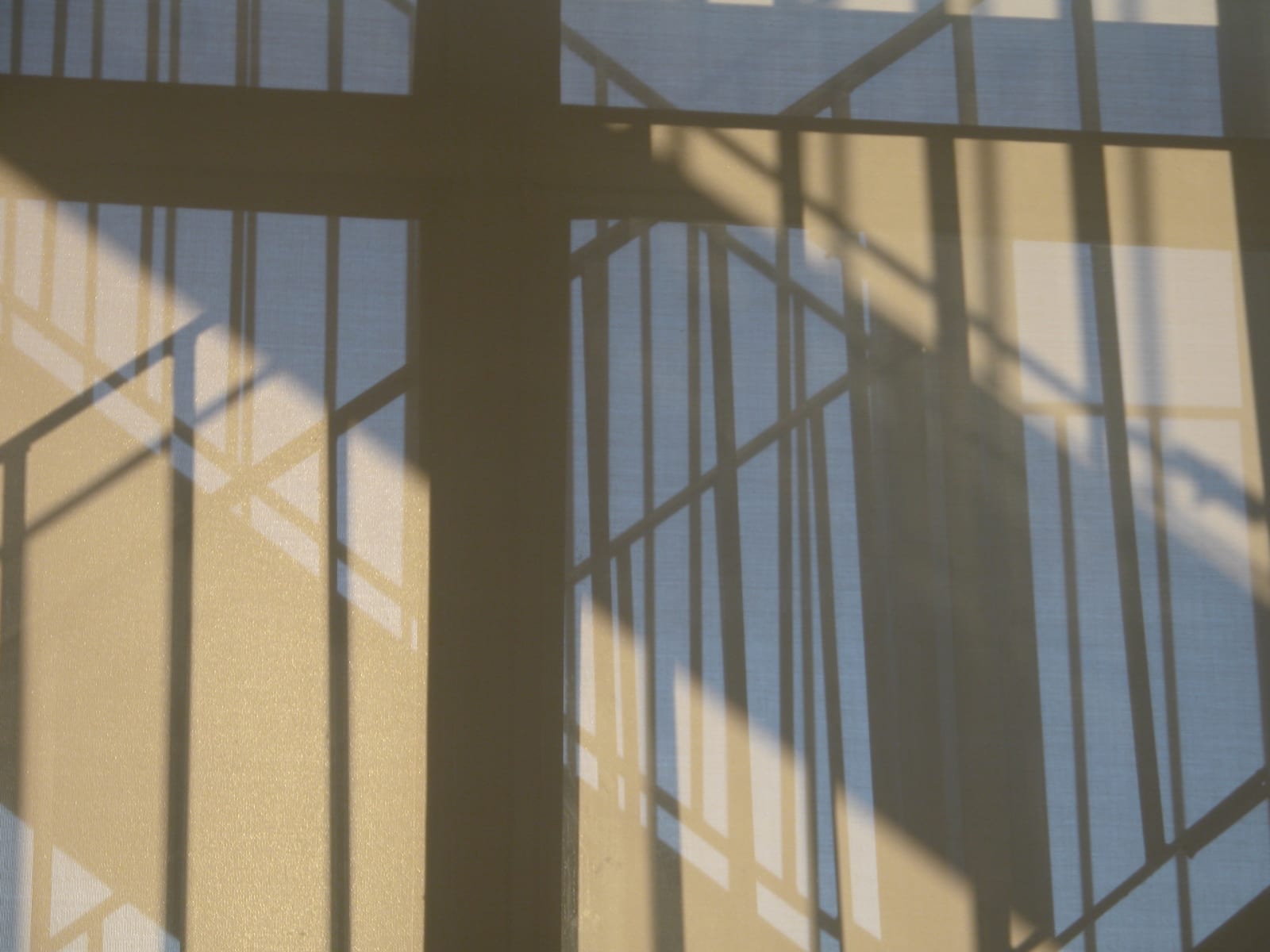 Joseph La Piana, Linear Scape I (C/ 709), 2005