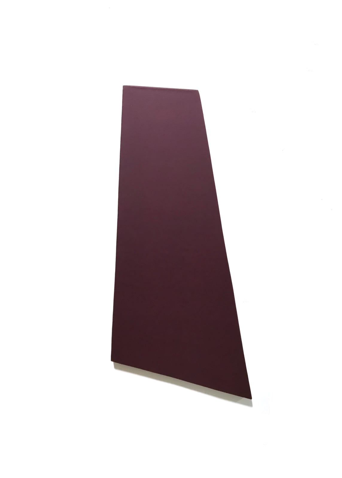 Joseph La Piana, Subfractal Relief Space Painting M, 2019