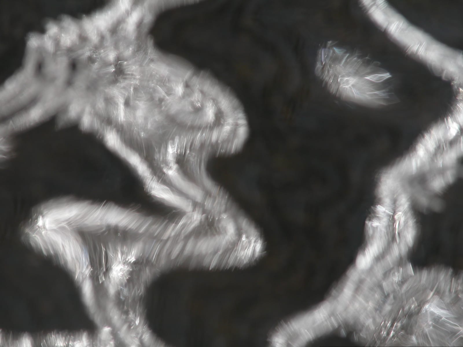 Joseph La Piana, Untitled (ESP/946), 2005