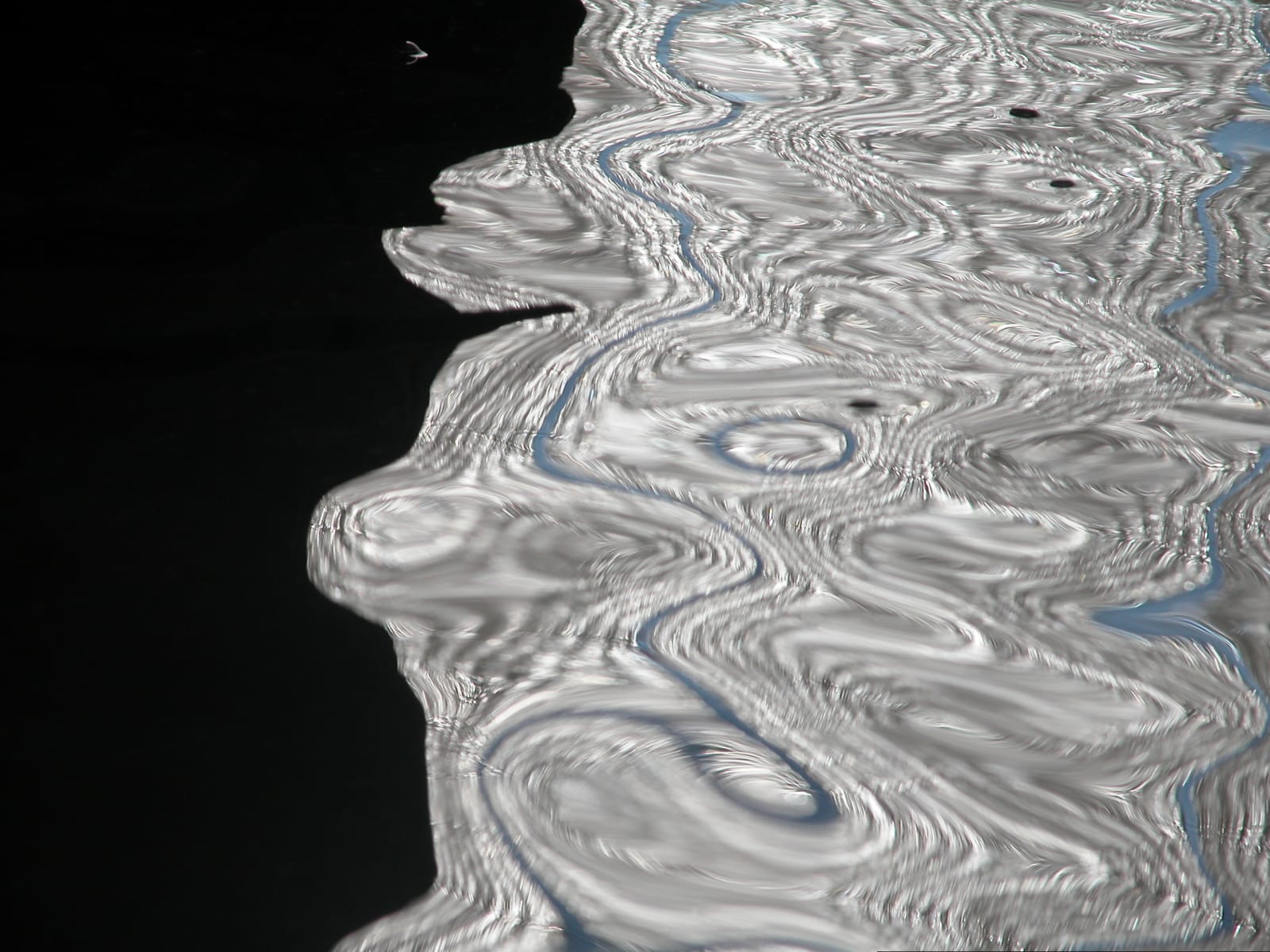 Joseph La Piana, Untitled (ESP/918), 2006