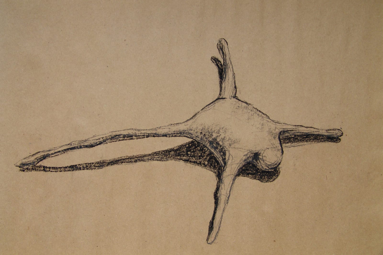 Joseph La Piana, Photonastic Drawing VIII, 2013